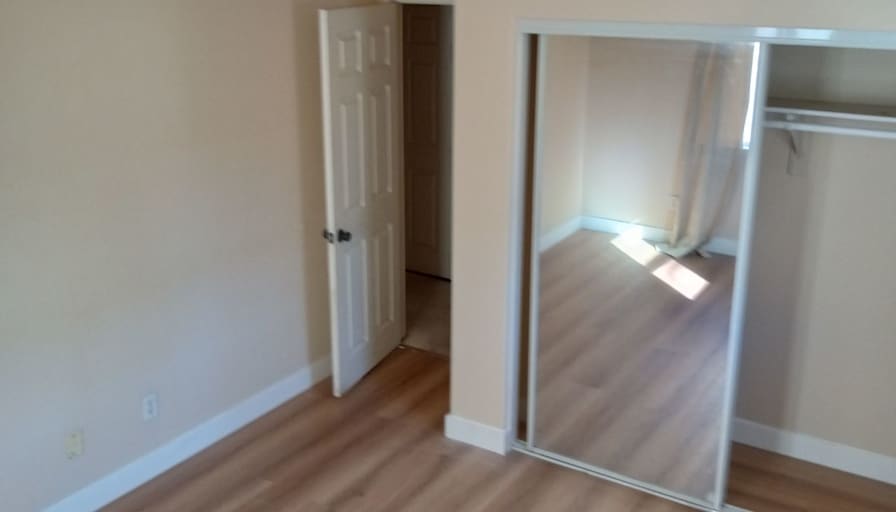 MY's room