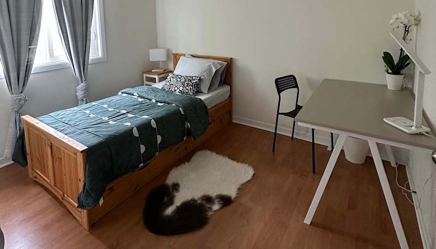 Lalaine's room