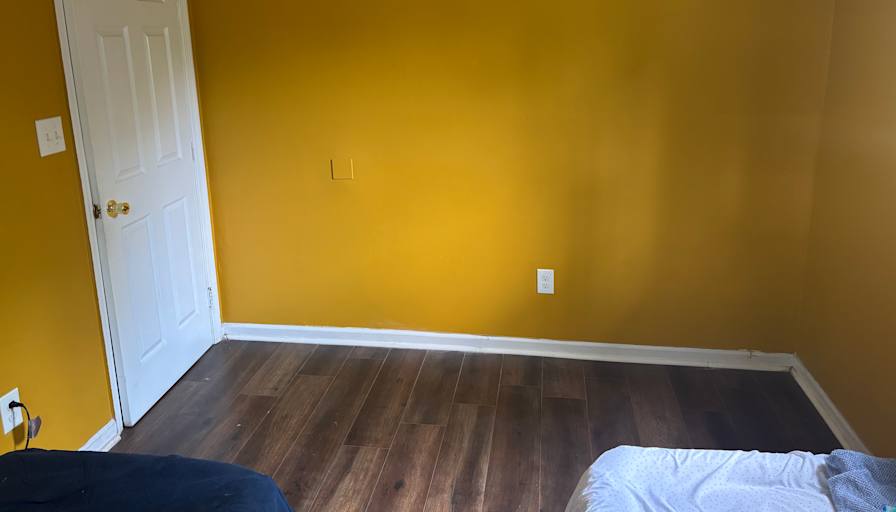Daniela Hillis's room