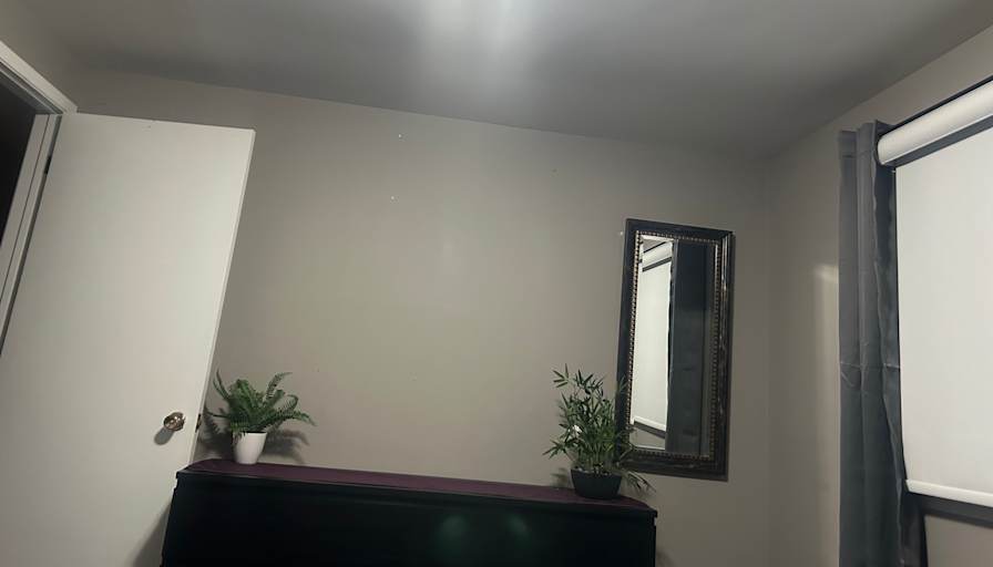 Shelly's room