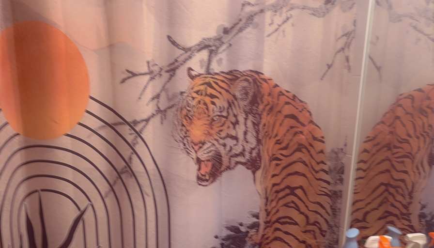 Richard Romano Carlsen's room