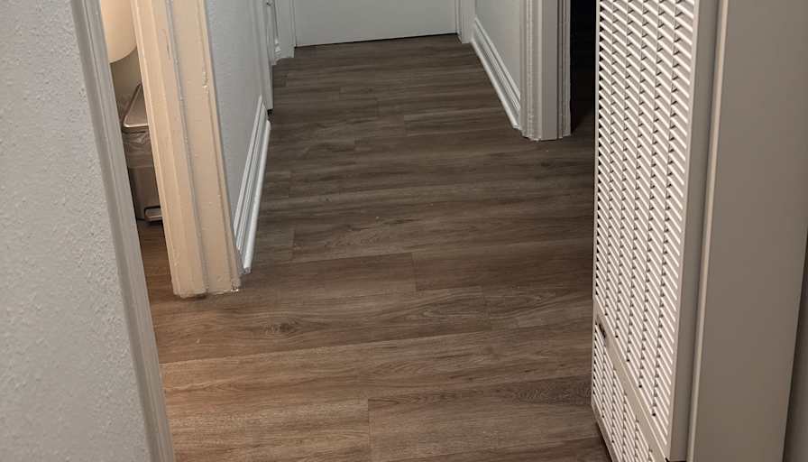 Lisa's room