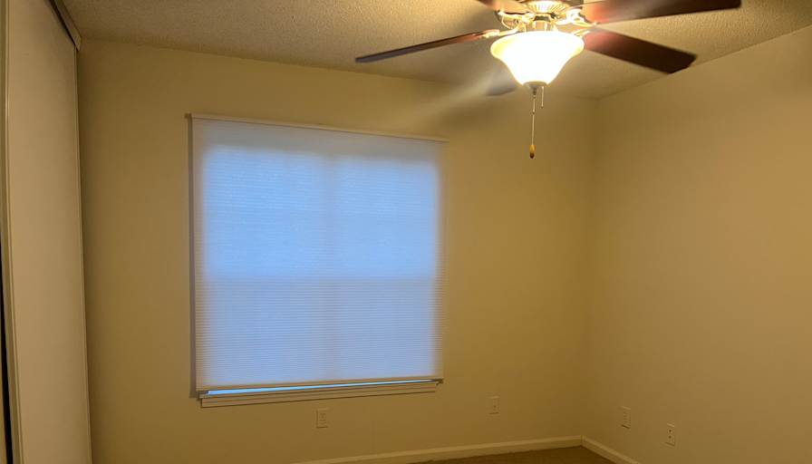 Cameron's room