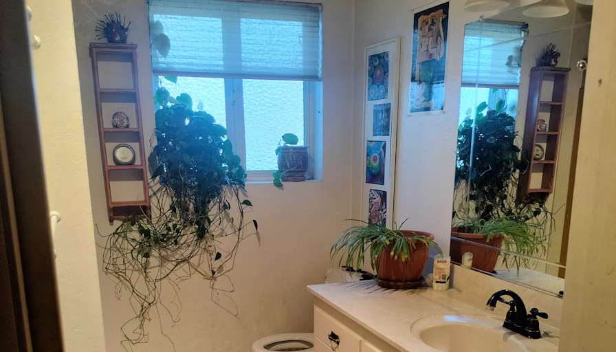 Rachel's room