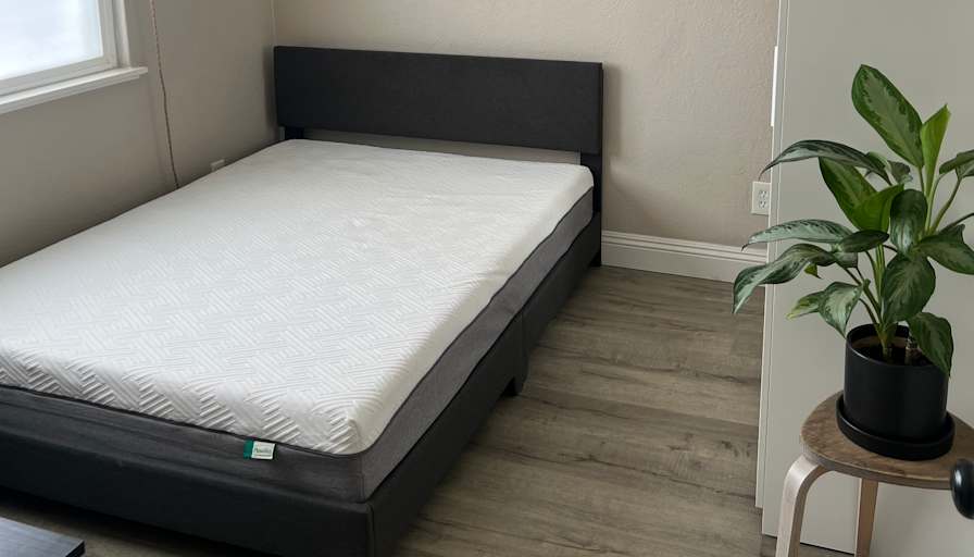 Michael's room