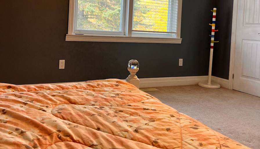 Aidin's room
