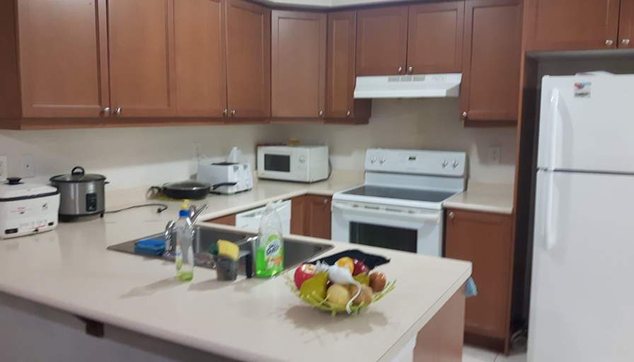 Shaheen's room