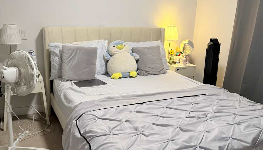 Chahat's room