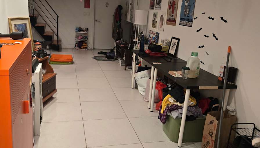 Alex Bellina's room