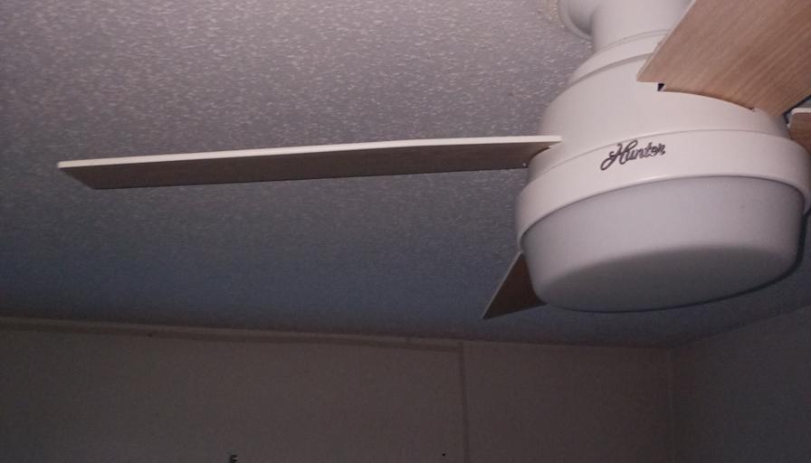 Anne's room