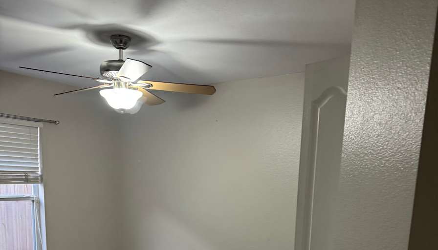 Daniel's room