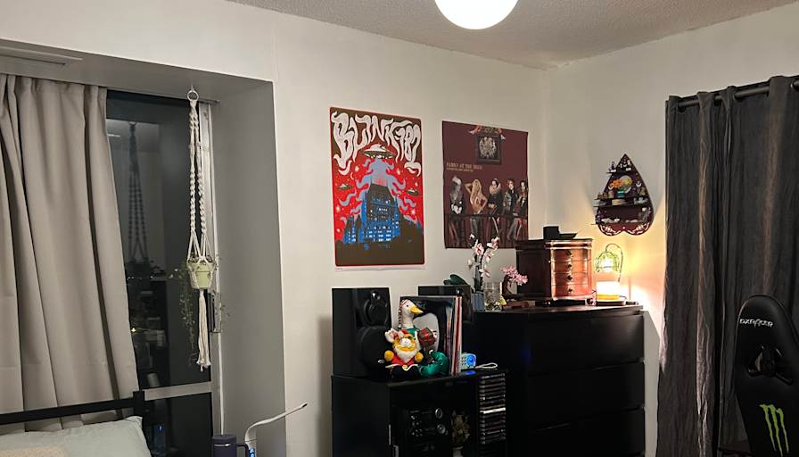 Alex's room