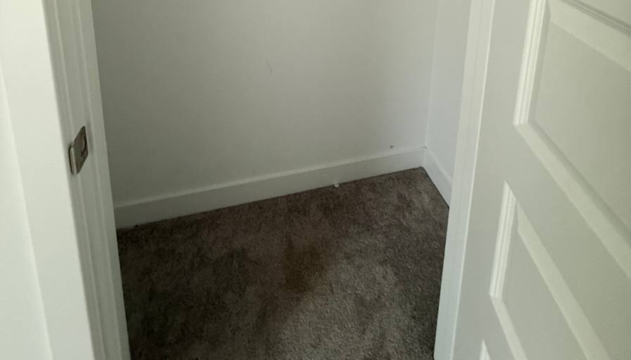 lauren's room