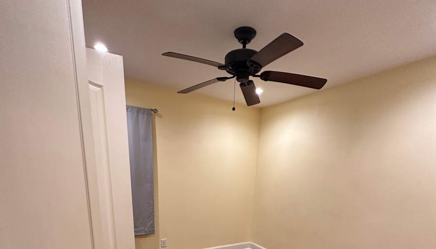 David's room