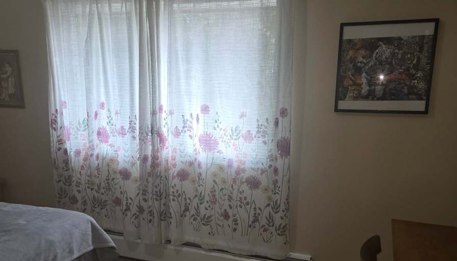 Davey's room