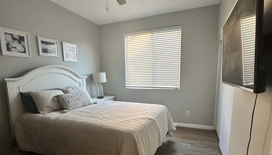 Camelia's room