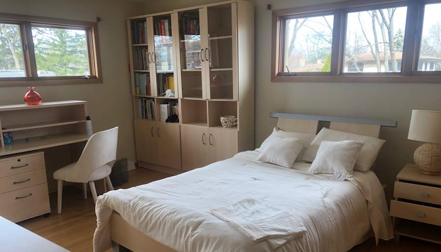Cat's room