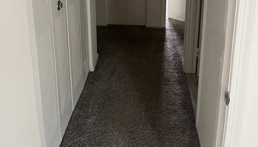 Milos's room