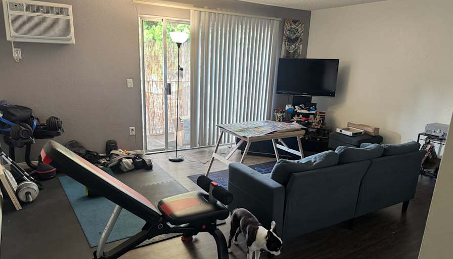 Greg's room