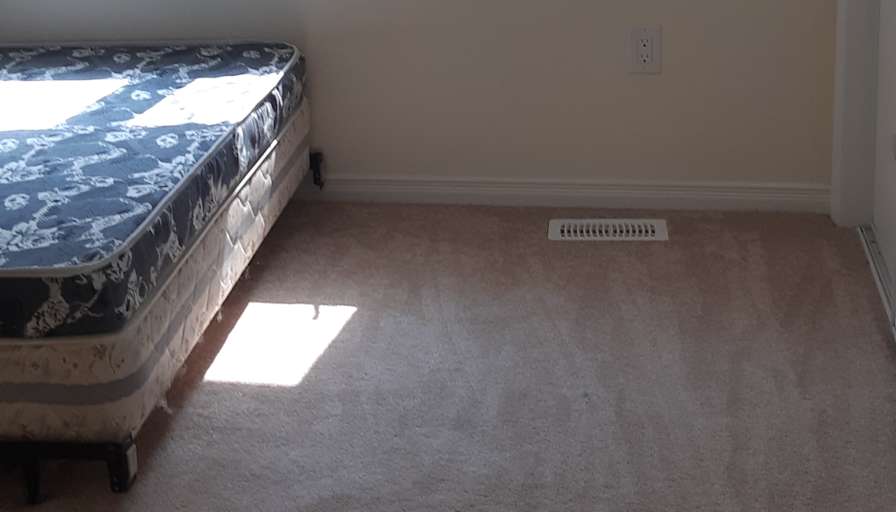 Shaheen's room