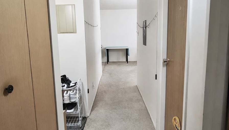Animesh's room