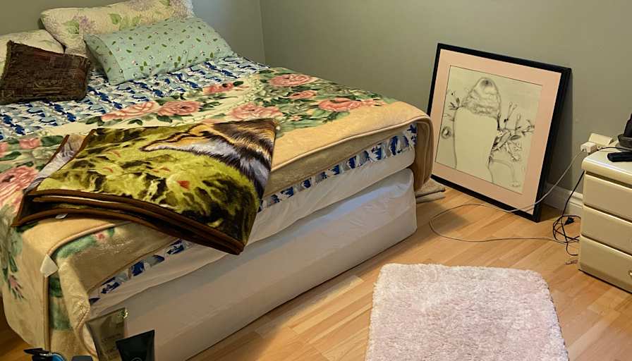Mario's room