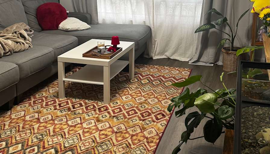 Valeriia Ivanishen's room