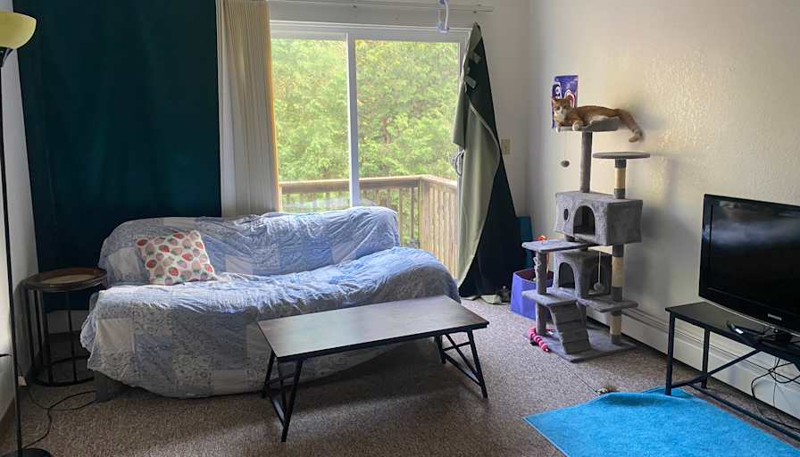 Leo's room