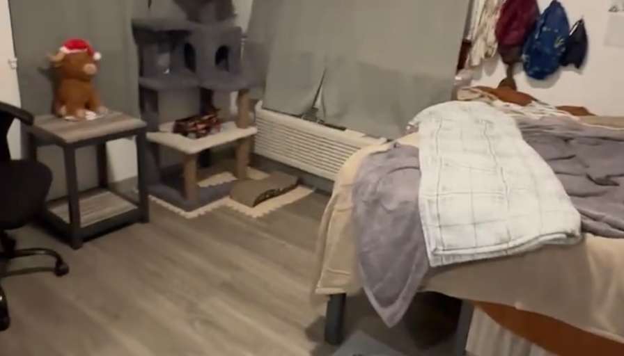 Jasmine Lee Junior's room