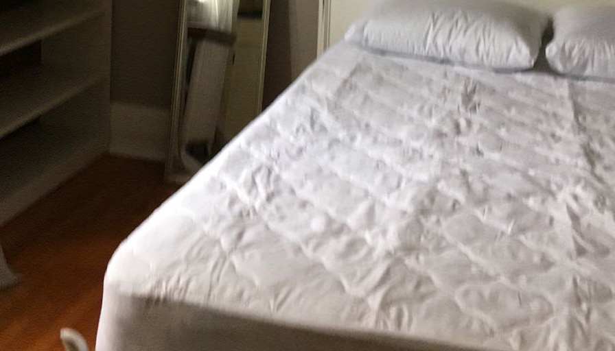 Andrea's room