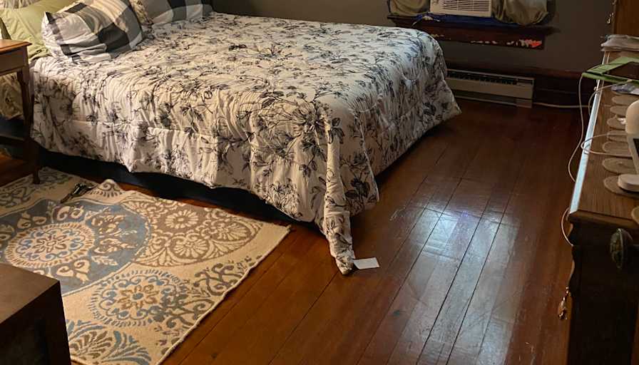 Shelly's room
