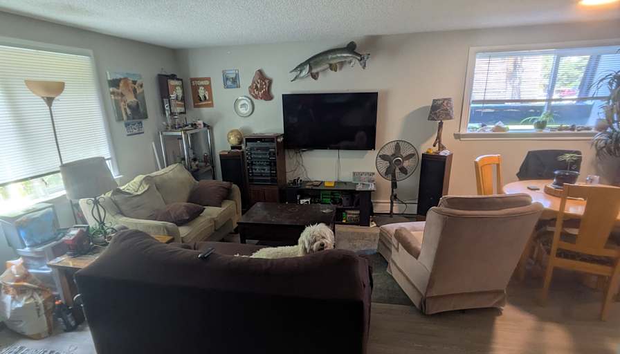 Owen's room