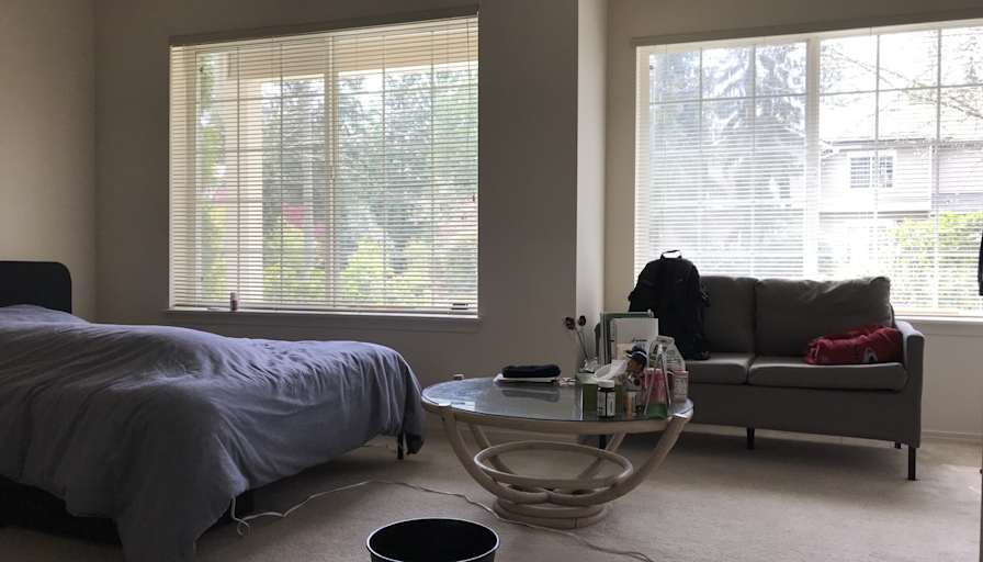 Suz's room