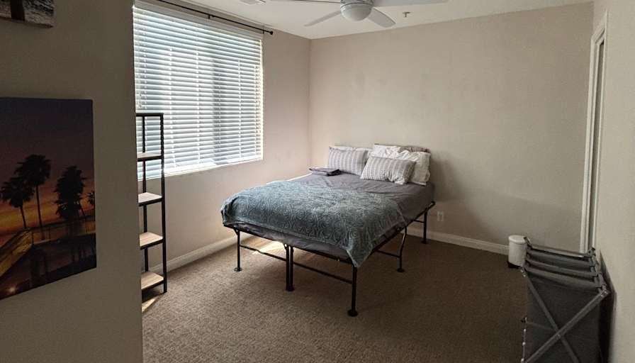 Mary's room