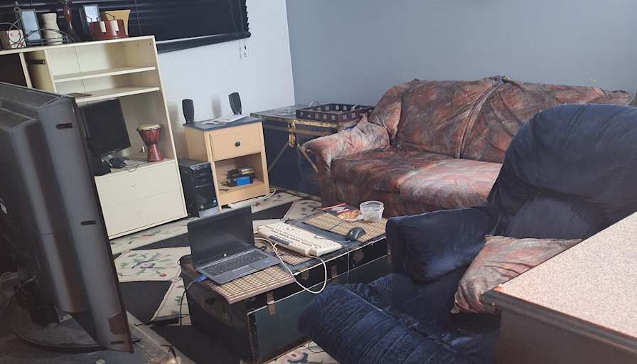 Dino's room