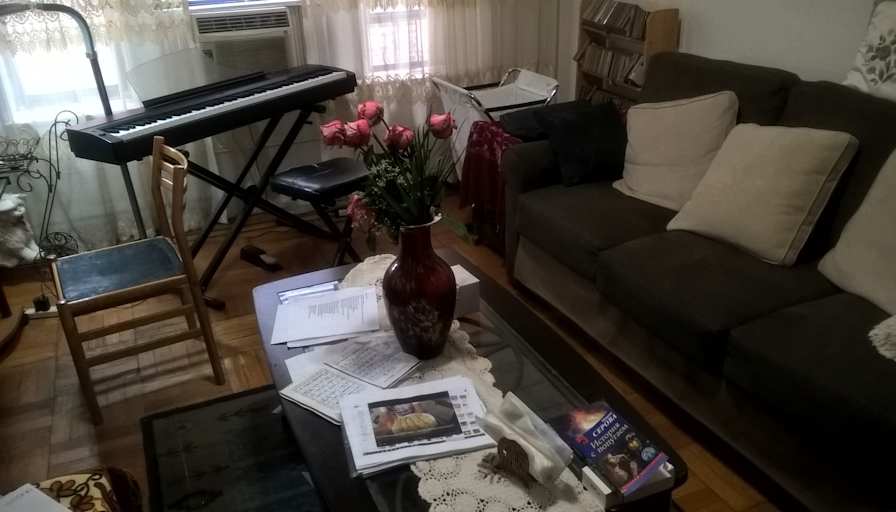 Lev Shneider's room