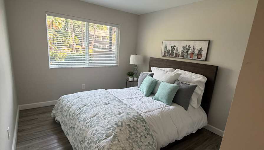 Ayla's room