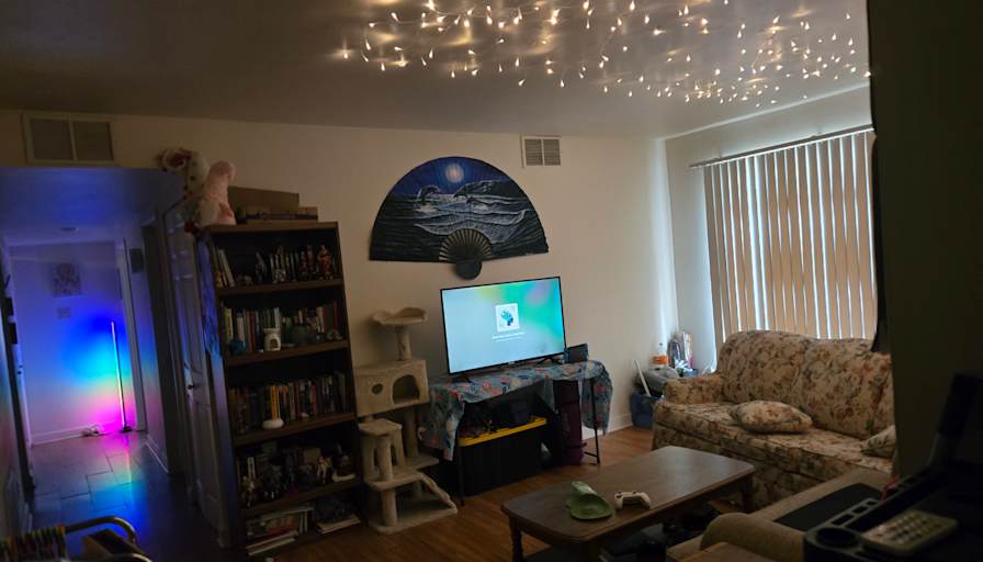 Sara Crisp's room