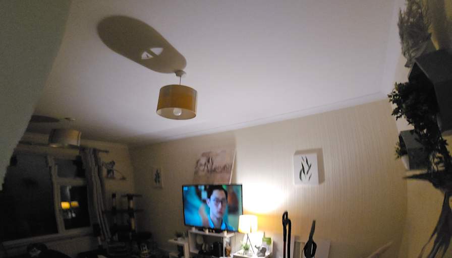 MS MELISSA ALLEYN-DEACON's room
