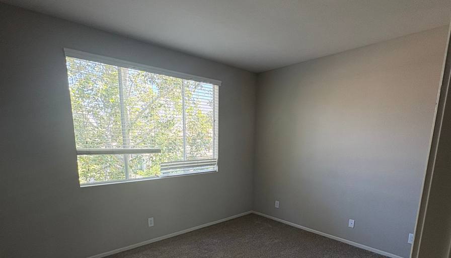 Javari's room