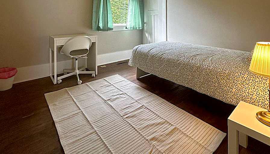 Shirin's room
