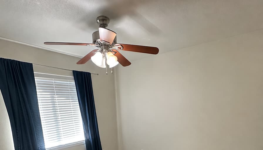 Emily's room