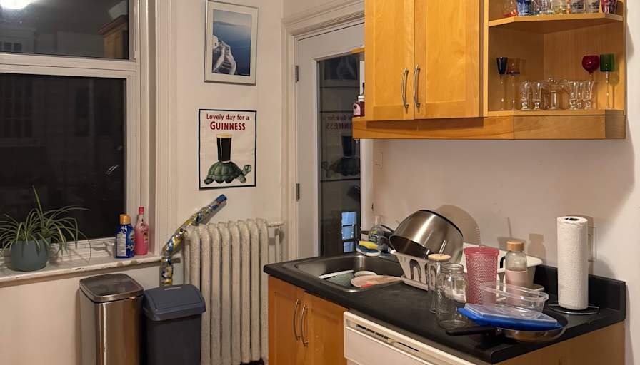 Sophie Liang's room