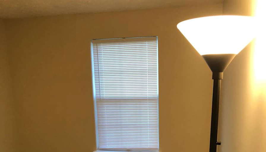 Daniel's room