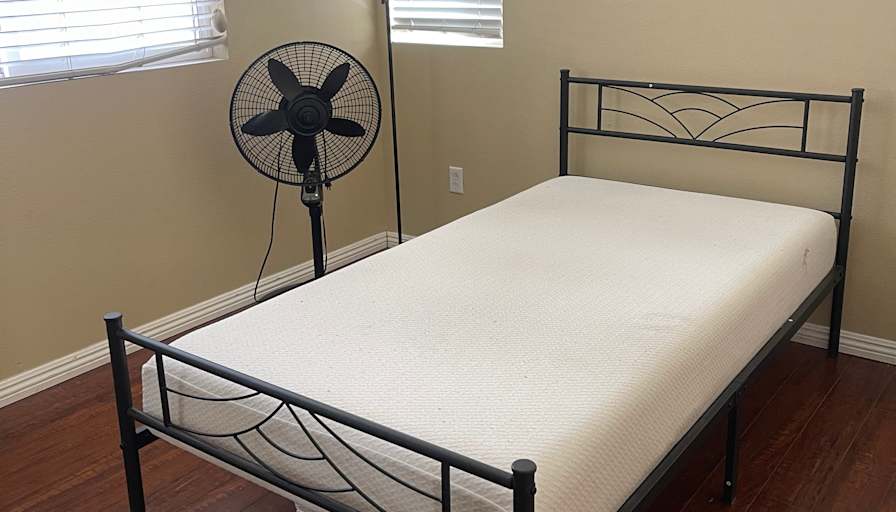 Zenaida's room