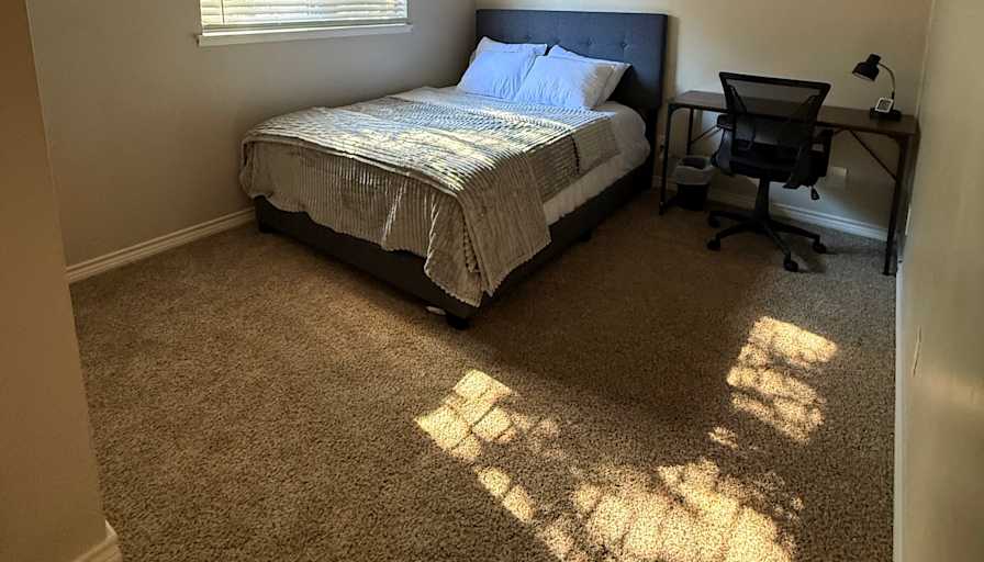 Daniel's room