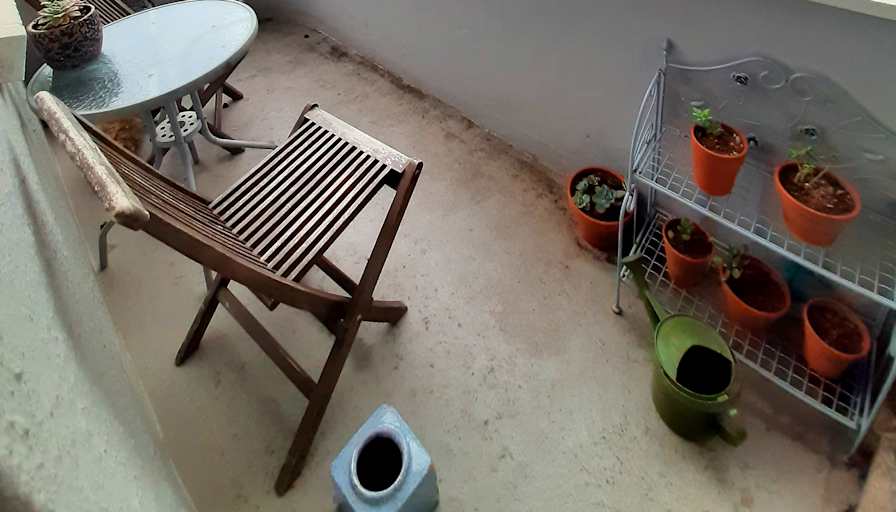 Ryno's room