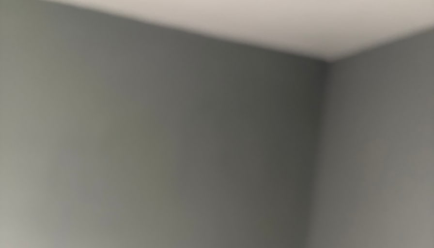 michael chappie's room