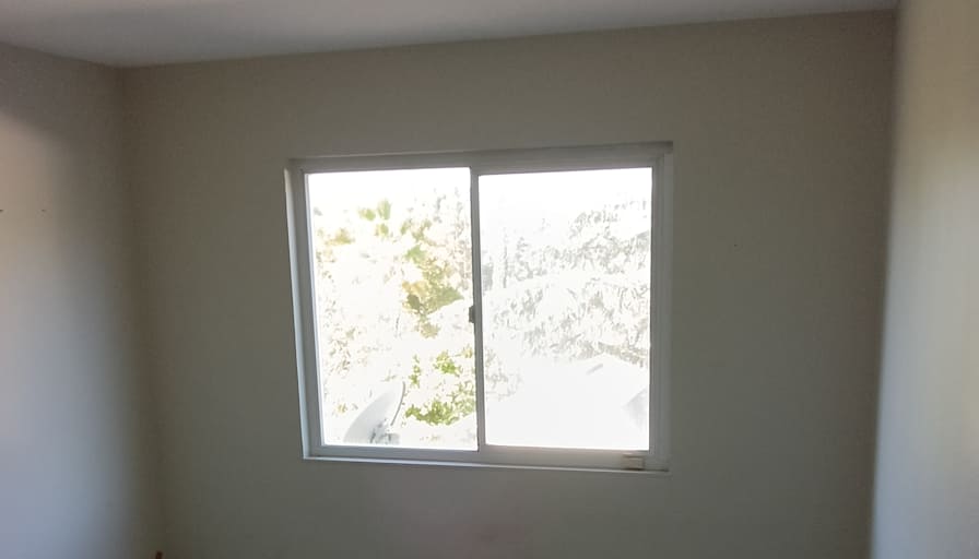 Michael Adams's room