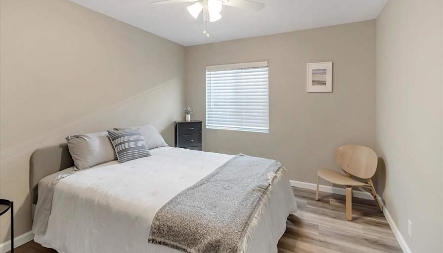 Suite Spot Management's room